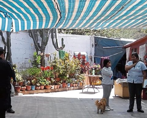 Tacna: They attack a hostel for couples and take money, jewelry and artifacts for 25 thousand soles