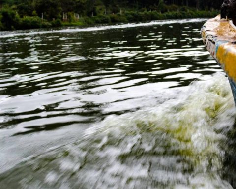 Taxi boats in the bay of Cartagena: everything about the pilot plan