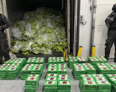 The Búfalo NK network mobilized the largest tons of cocaine during the pandemic