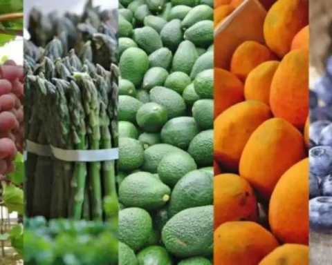 The US exempted more than 200 Peruvian products from tariffs: What are they?