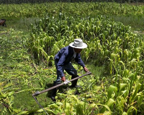 The United States camp entrenches itself to save the T-MEC