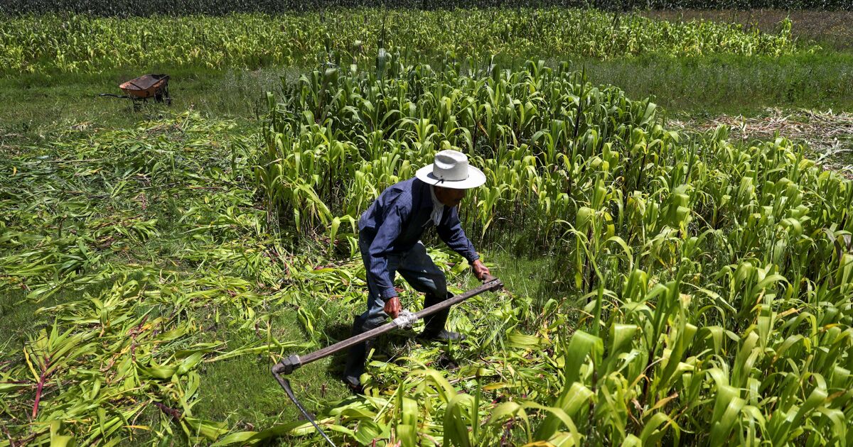 The United States camp entrenches itself to save the T-MEC