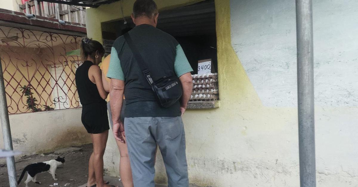 The egg breaks another record in Sancti Spíritus