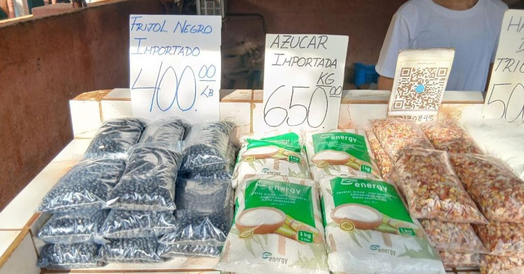 The pork for Christmas dinner in Cuba will be imported or it will not be