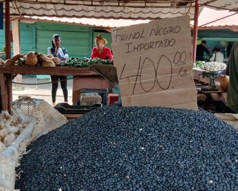 The regime accuses 'El Toque' of promoting “financial terrorism” to provoke a social outbreak