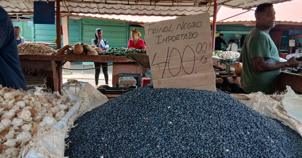 The regime accuses 'El Toque' of promoting “financial terrorism” to provoke a social outbreak