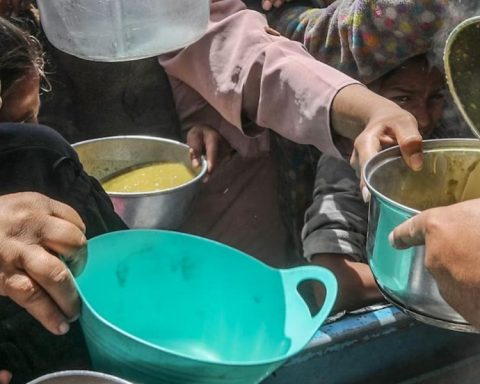The risk of food crises worsens in the world: these are the critical points of hunger