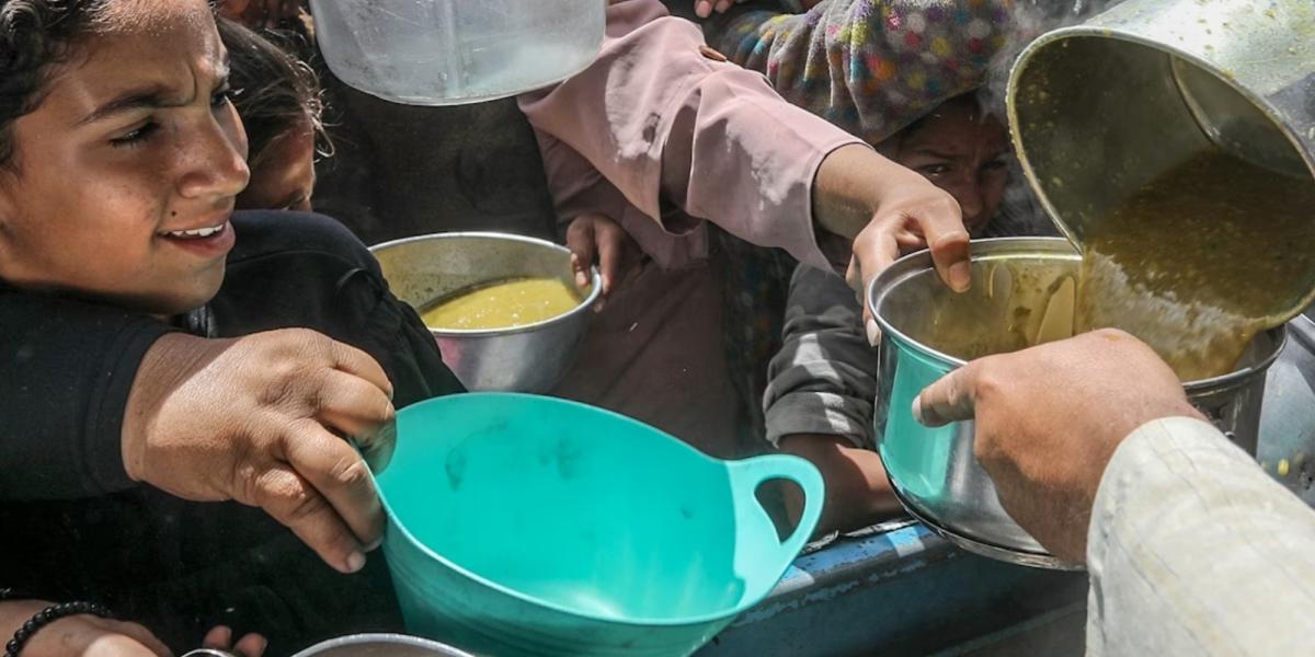 The risk of food crises worsens in the world: these are the critical points of hunger