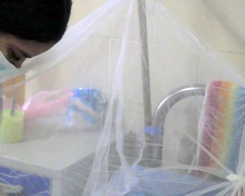 There are 19 minors in “critical condition” and 44 adults in serious condition due to chikungunya