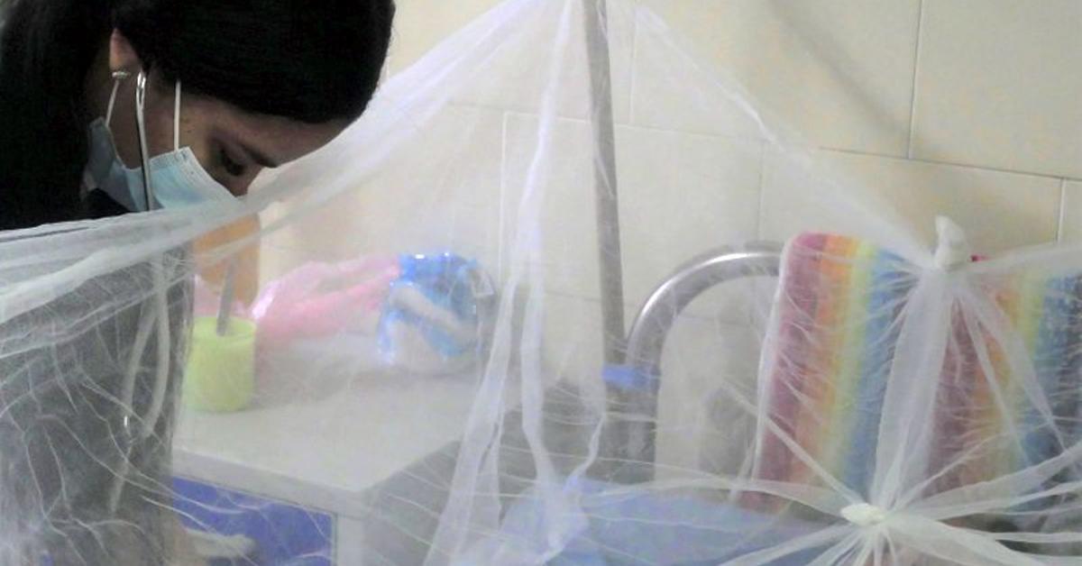 There are 19 minors in “critical condition” and 44 adults in serious condition due to chikungunya