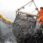 They affirm that fishing is compatible in protected areas