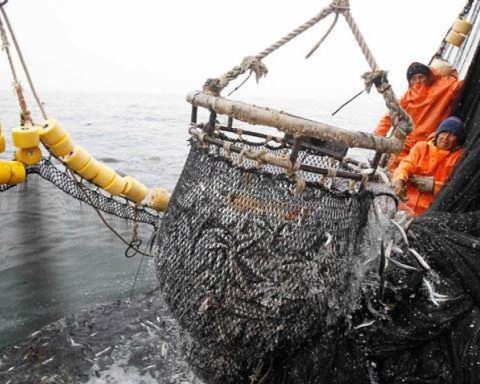 They affirm that fishing is compatible in protected areas