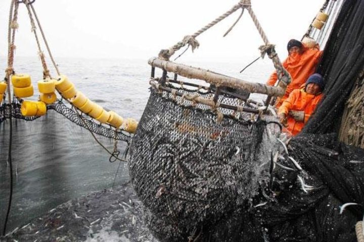 They affirm that fishing is compatible in protected areas