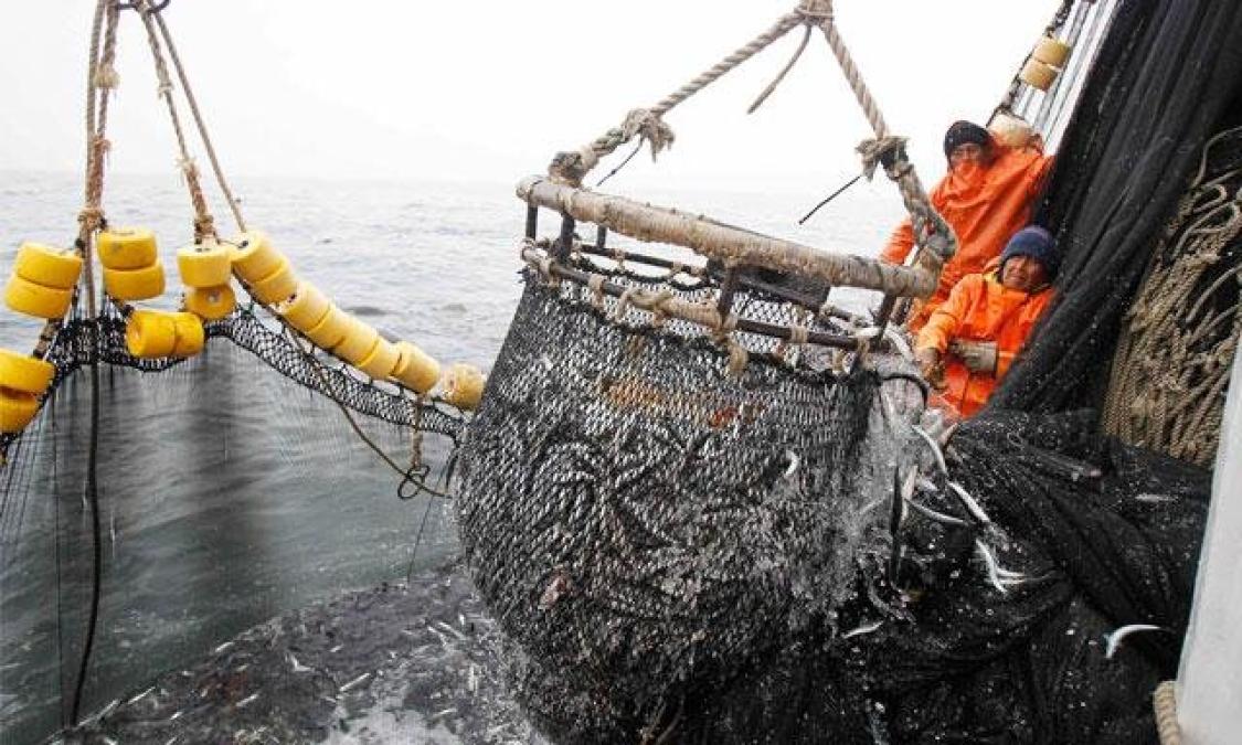 They affirm that fishing is compatible in protected areas