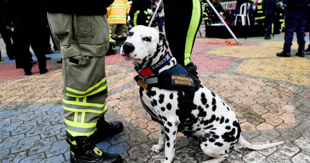 They search for a US citizen missing on Guadalupe Hill, in Bogotá