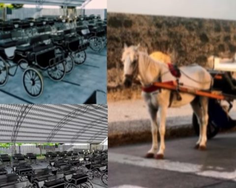 Cartagena recibe este 11 de noviembre los primeros coches eléctricos que sustituirán los carruajes con caballos