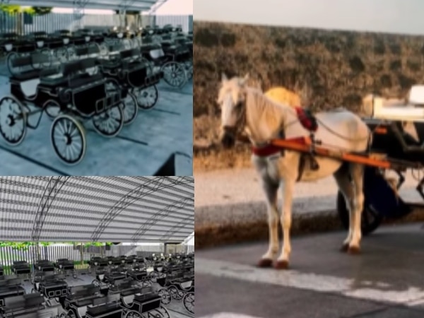 Cartagena recibe este 11 de noviembre los primeros coches eléctricos que sustituirán los carruajes con caballos