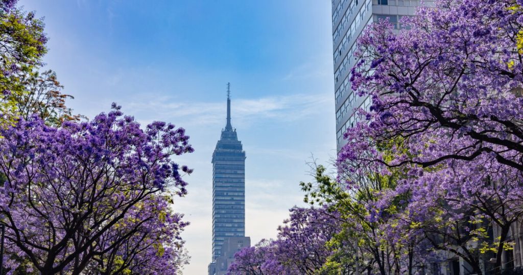 This is equivalent to Mexico's public spending in other countries