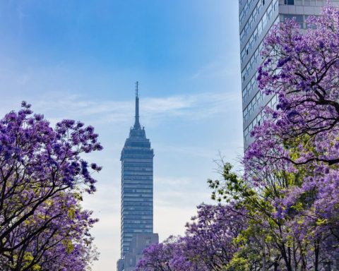 This is equivalent to Mexico's public spending in other countries