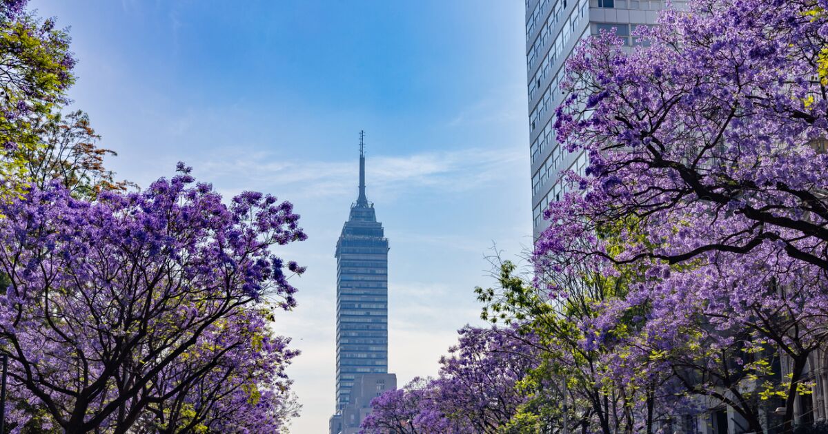 This is equivalent to Mexico's public spending in other countries