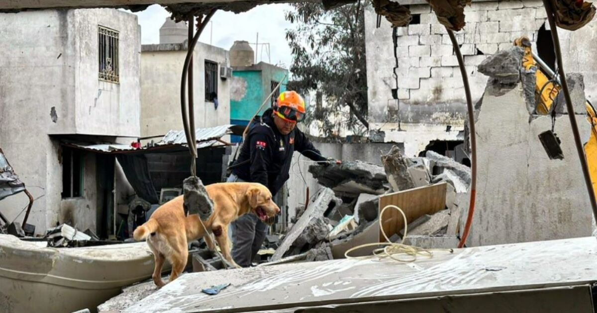 Three people die after fireworks explosion in clandestine workshop