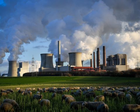 Towards healthier cities: COP30 measures for the urban future