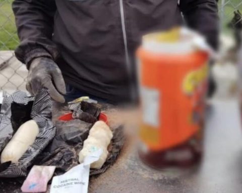 Two anti-drug dogs detect the shipment of cocaine to Cuba in jars of chocolate powder in Ecuador