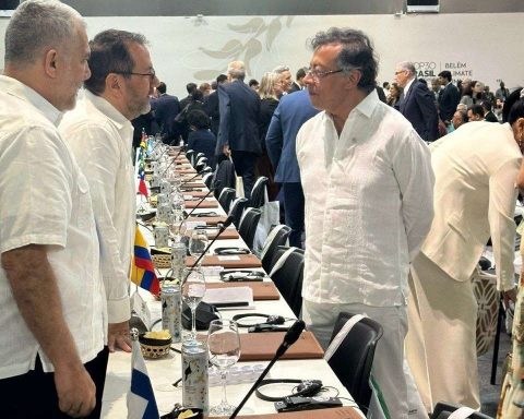 Venezuela will share its progress in protecting Mother Earth at COP30