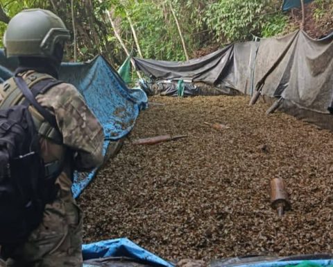 Vraem: Law enforcement forces destroy laboratories and seize 640 kilos of drugs
