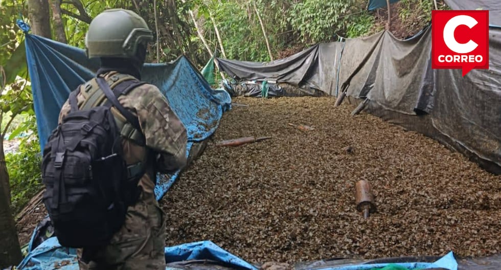 Vraem: Law enforcement forces destroy laboratories and seize 640 kilos of drugs