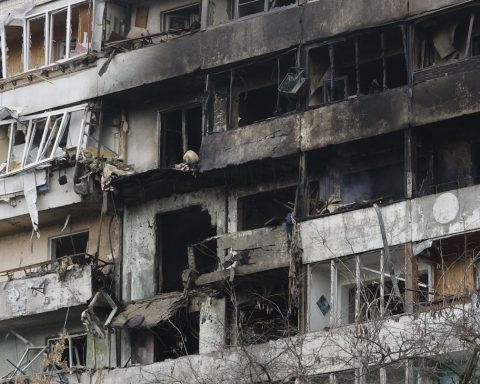 War in Ukraine: peace plan waits for the solution of “delicate details”