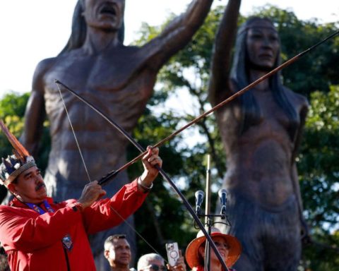 What is curare, the silent weapon with which Maduro will confront the US