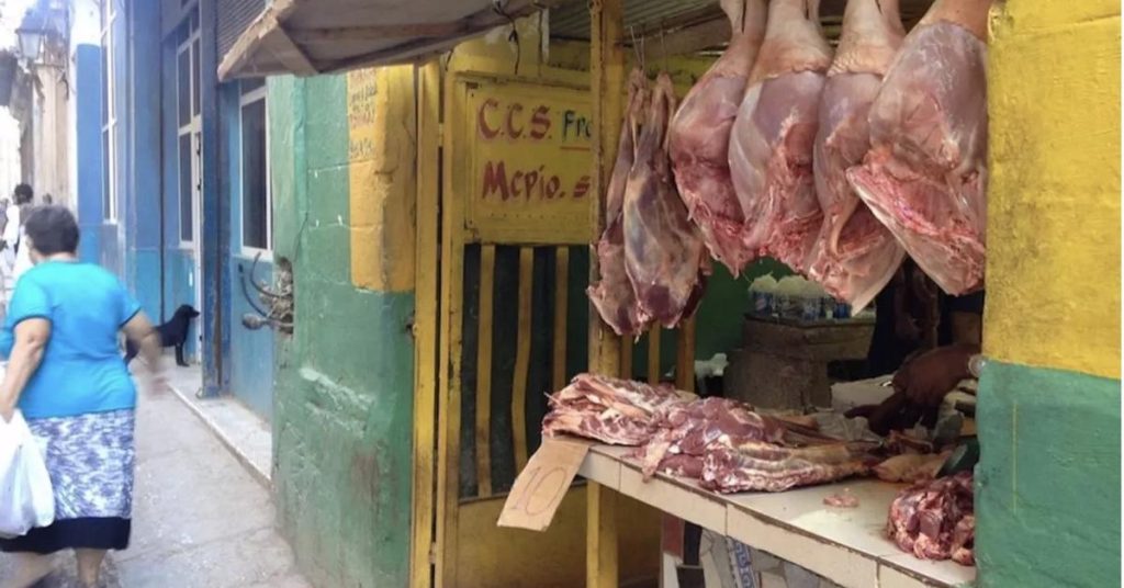 With swine fever in Spain, Cubans could be left without pork this year's end