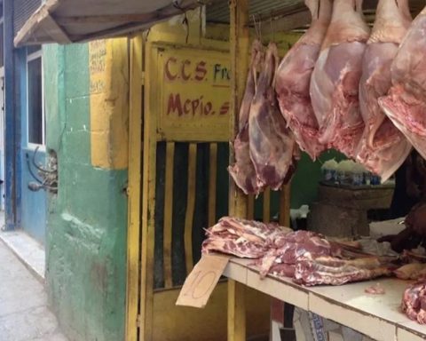 With swine fever in Spain, Cubans could be left without pork this year's end