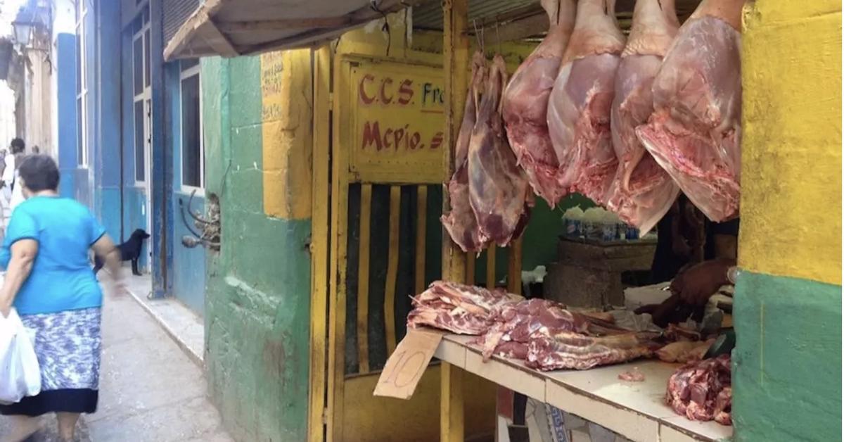 With swine fever in Spain, Cubans could be left without pork this year's end