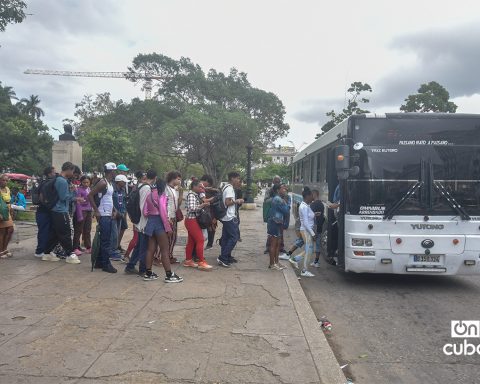 With the health crisis as a backdrop, Havana will have a bus service for Health workers