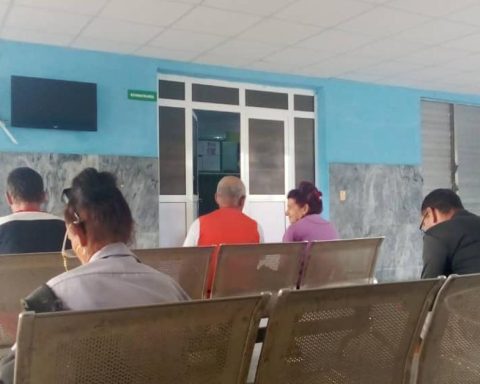 an infestation "very high" of Aedes aegypti causes arbovirus cases to rise again