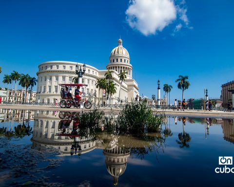 2025: Images of the year that is gone