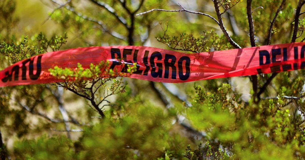 2025 is set to close as the least violent year in 15 years