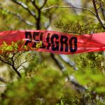 2025 is set to close as the least violent year in 15 years