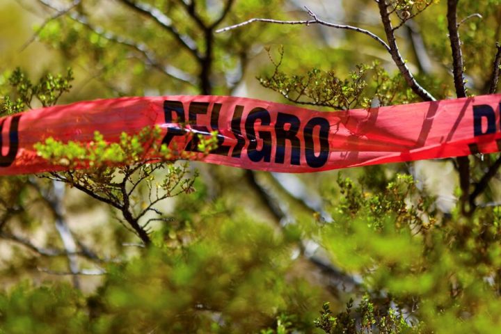 2025 is set to close as the least violent year in 15 years