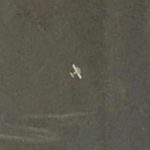 28 aircraft have been neutralized by Fanb this 2025