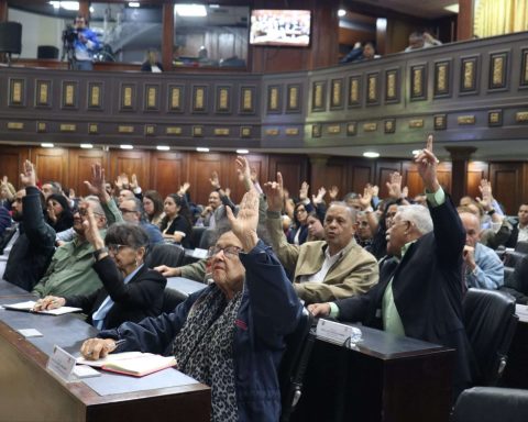 AN approved 100 laws during 300 sessions in the period 2021-2025