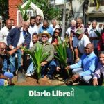 Agro: Feda has distributed more than 564,000 coconut seedlings