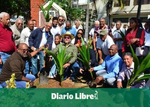 Agro: Feda has distributed more than 564,000 coconut seedlings