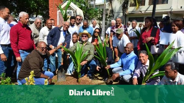 Agro: Feda has distributed more than 564,000 coconut seedlings