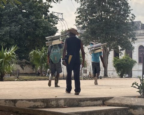 Another five deaths from dengue and chikungunya and 52 in the entire epidemic, according to the Minsap