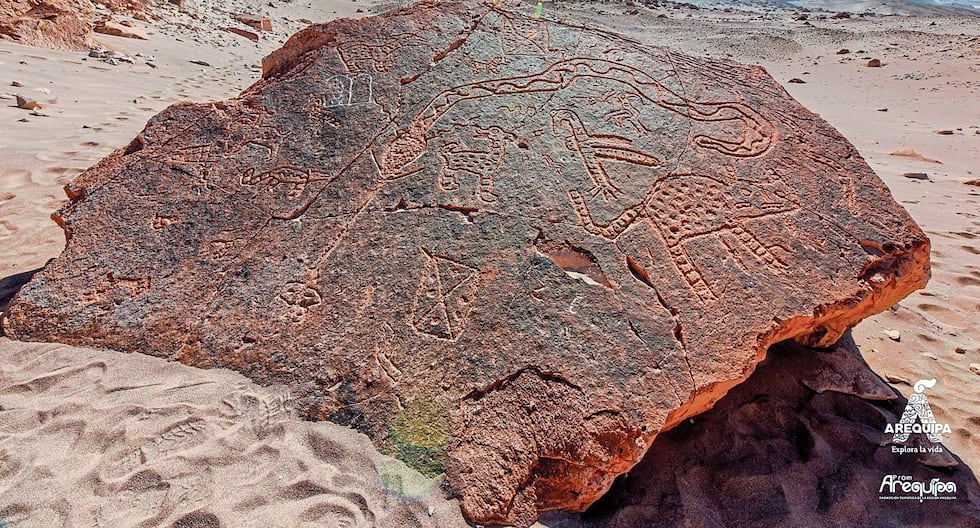 Arequipa: Tourism in Castilla takes off