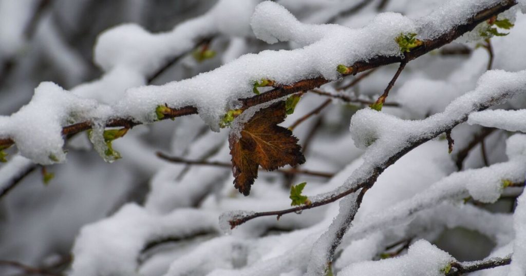 Authorities warn of heavy rains and snowfall in the states