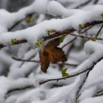 Authorities warn of heavy rains and snowfall in the states